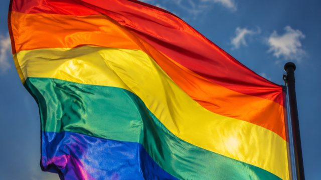 Captivating Pride Wallpaper Gallery: Celebrate Diversity Through Art