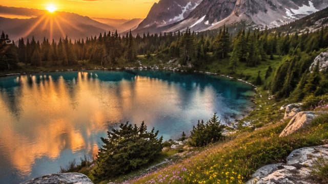 Breathtaking Nature Wallpapers to Elevate Your Screen Aesthetic