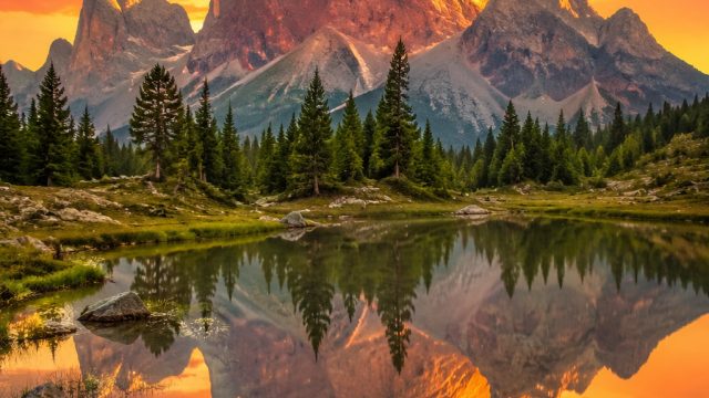 Discover the Serenity of Nature: Stunning Wallpaper Inspirations