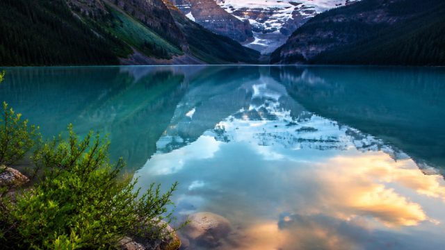 Explore the Serenity: Calming Nature-Inspired Wallpaper Gallery