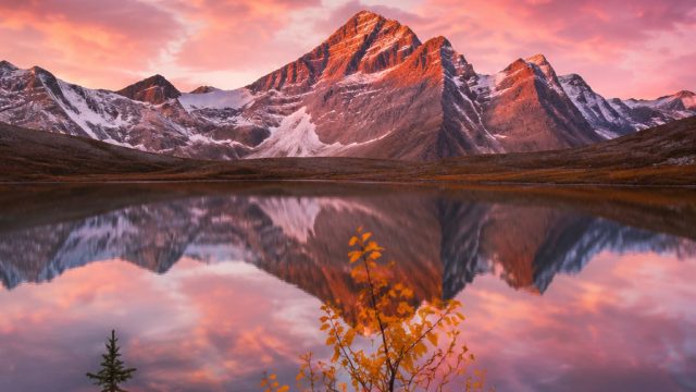 Exploring the Power of Visual Art in Modern Photography