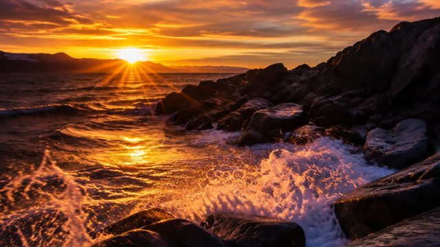 The Art of Photography: How to Tell Stories Through Images