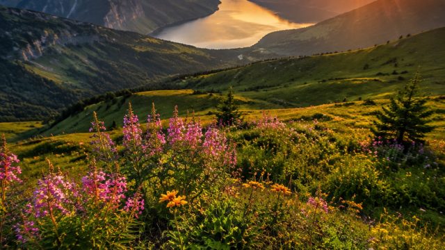 Exploring the Art of Photography: How to Choose the Perfect Wallpaper for Your Space
