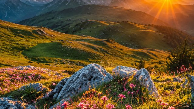 Discover the Captivating World of Nature-Themed Wallpapers