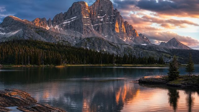 Transform Your Space: The Art of Wall Photography