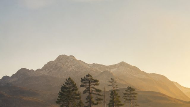 Discovering the Allure of Minimalist Photography Wallpapers