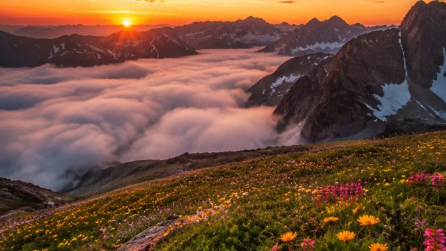 Escape into Serenity: Calming Landscapes for Your Screens