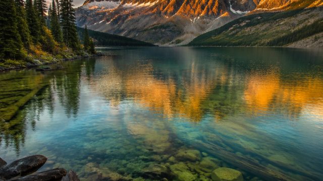 Exploring the World of Nature Photography: A Visual Journey