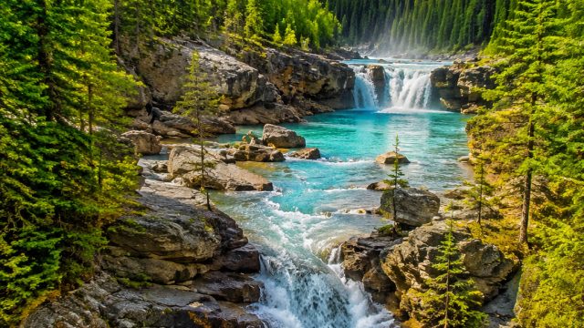 Vibrant Nature Scenes for Your Phone and Desktop