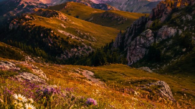 The Rise of Digital Photography: A New Era for Wallpaper Design