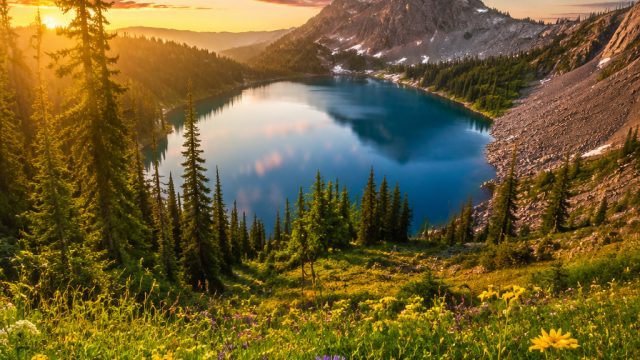 Explore the Serenity of Nature: Perfect Wallpaper for Every Screen