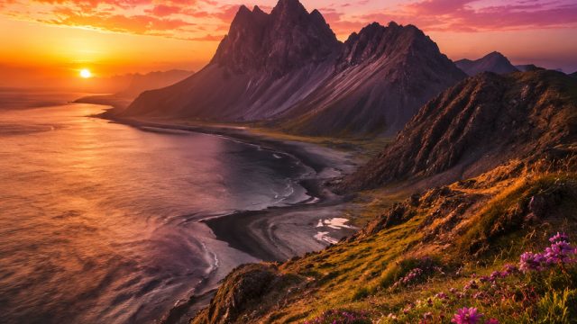 Captivating Nature Scenes for Your Digital Backgrounds