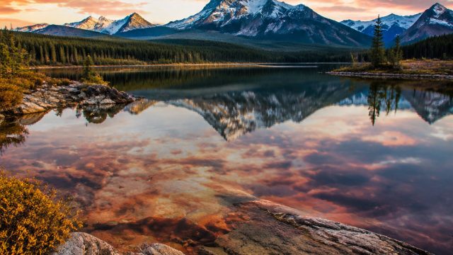 Explore Vibrant Visuals: Your Next Favorite Wallpaper Awaits