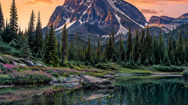 Discover Tranquil Serenity in our Latest Wallpaper Collection