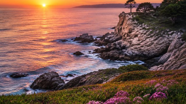 Captivating Coastal Scenes: Embrace Nature's Beauty in Your Space