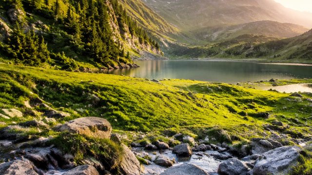 Captivating Nature Themes for Your Screen: A Visual Escape