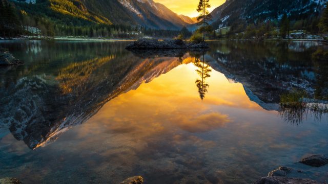 The Best Photography Techniques for Stunning Wallpaper Designs | taipan3388, casino free chips no de