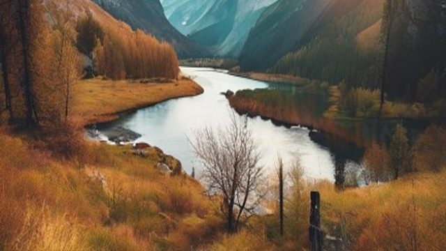 Explore Scenic Wilderness: Captivating Wallpapers for Your Devices