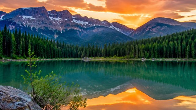 Capturing Serenity: Nature-Inspired Wallpaper for Your Devices