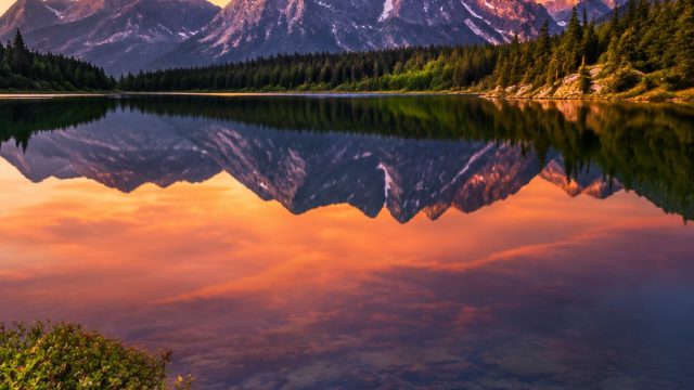 Revitalize Your Screen with Nature-Inspired Wallpaper Art
