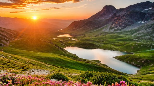 Captivating Nature: Inspiring Wallpapers for Every Screen | asianbookie bola, newsmax tv, new online