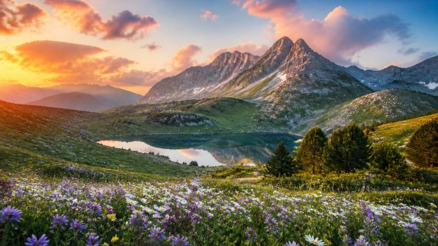 Unveiling Nature’s Splendor: The Best Natural Photography for Wallpaper