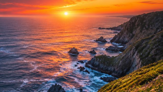 Showcase Your Style: How to Use Photography Wallpapers Effectively
