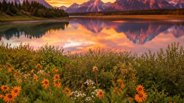 Nature's Beauty: How Photography Inspires Interior Design