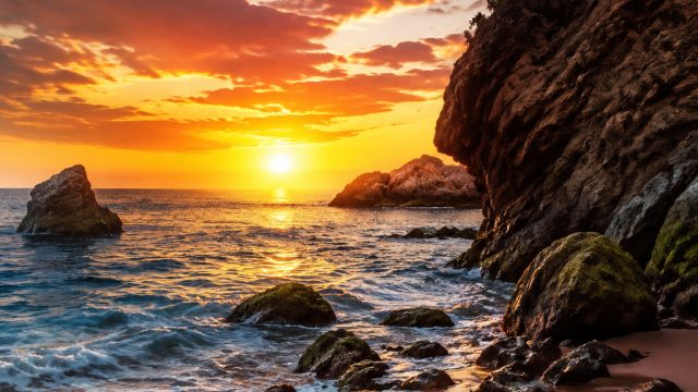 The Art of Visual Design: How Photography Enhances Your Space