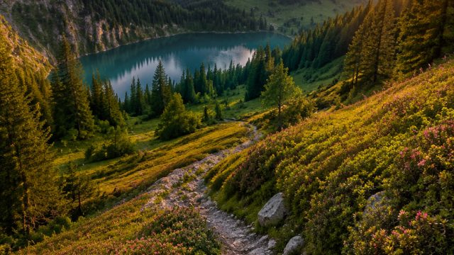 Captivating Nature: Explore Scenic Wallpapers for Your Device