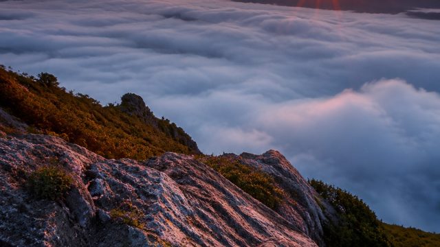Captivating Textures: Wallpaper Gallery for Modern Devices