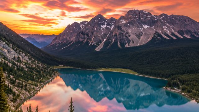 Creating a Stunning Online Gallery: Tips for Photographers | thor slot game, situs agen judi slot on