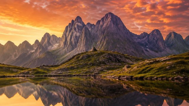 Capture the Essence: Artistic Wallpapers for Every Mood