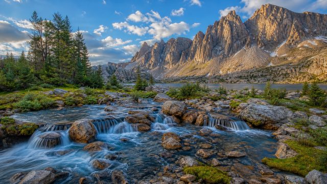 Vibrant Nature Wallpapers: Transform Your Screen Today