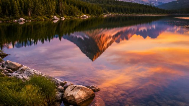 Explore the Tranquil Beauty of Nature: Your New Favorite Wallpaper