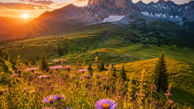 The Role of Color Theory in Photography | tinyurl com slot, agen pragmatic