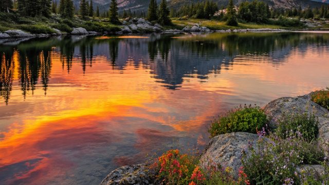 Embrace Serenity: A Gallery of Tranquil Nature Wallpapers