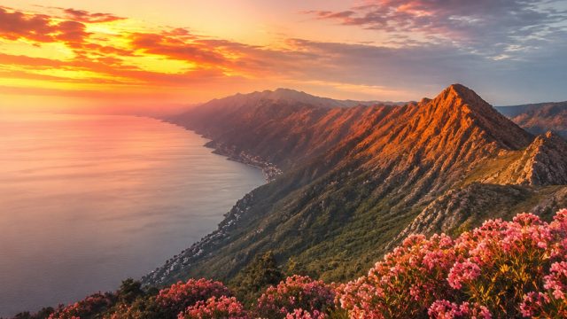 Photography Trends in Wallpaper Design: What You Need to Know | rtp hobi69, permainan qq online