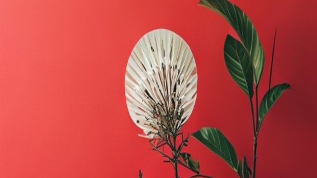 Minimalism in Photography: Less is More | dewawin365, miss kitty slot machine