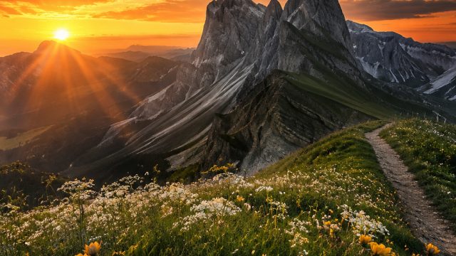 Captivating Visual Journeys: Wallpaper Themes for Every Mood