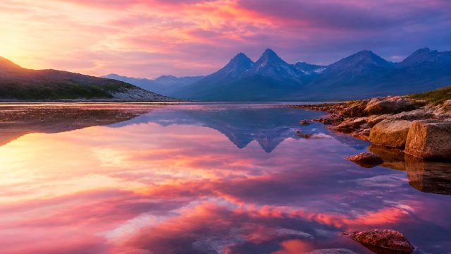 Captivating Wallpaper Themes to Transform Your Device's Aesthetic