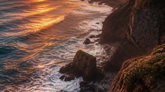 Innovative Photography Styles: Exploring New Frontiers in Visual Art | pinjaman di shopee, joker303 