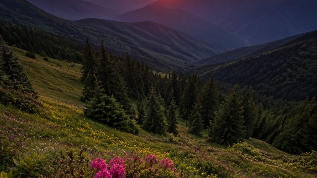 Timeless Landscapes: A Fresh Perspective on Natural Beauty