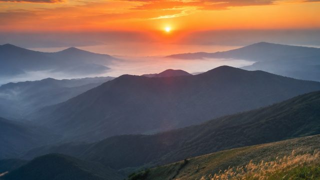Discover Nature's Beauty: Tai Mo Shan Wallpaper Inspiration