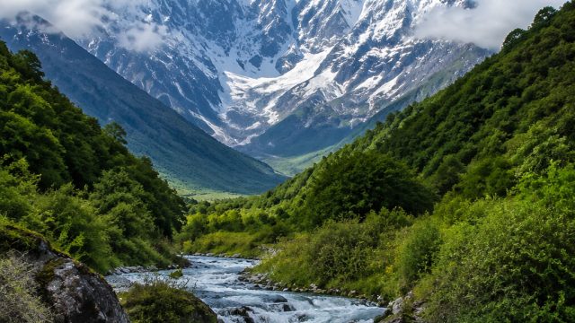 Exploring the Serene Beauty of the Caucasus: A Wallpaper Journey