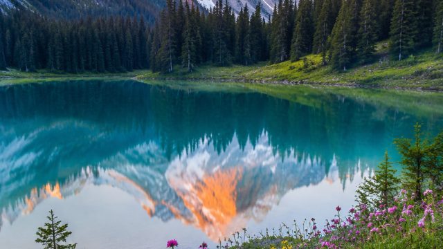 Captivating Nature: Explore Vibrant Landscapes as Stunning Wallpapers