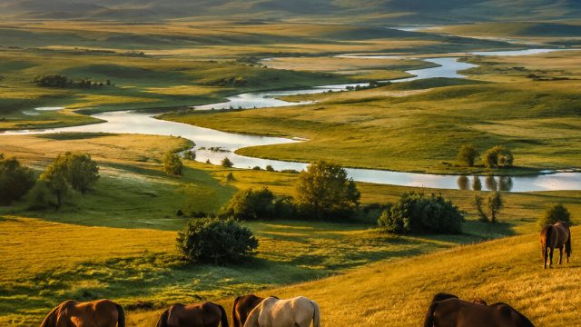 Breathtaking Pastoral Landscapes: Inner Mongolia's Visual Poetry