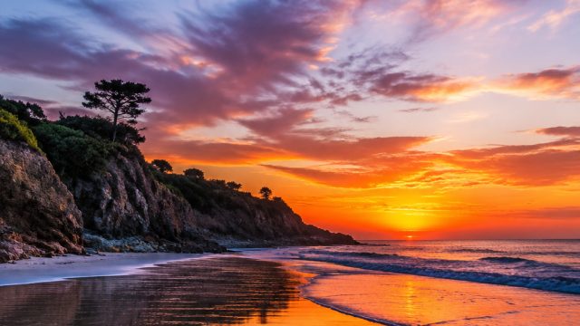 Captivating Visuals: The Art of Minimalist Wallpaper Design