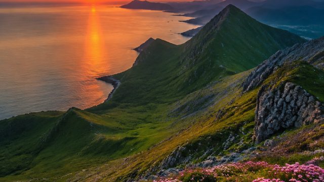 Serene Nature Themes: Elevate Your Space with Tranquil Wallpapers