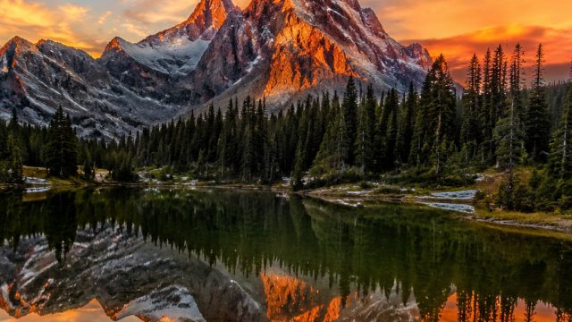 Celebrate Natural Beauty: Captivating Wallpapers Inspired by Simplicity | play chess with friends, t